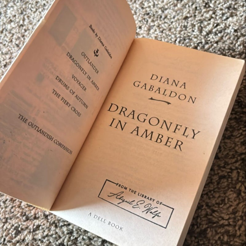 Dragonfly in Amber