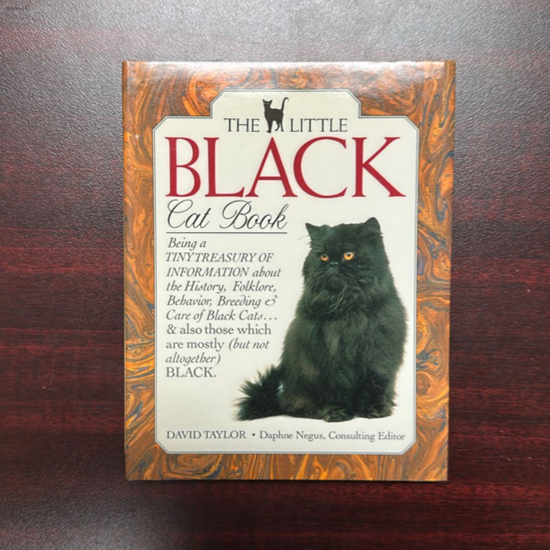 The Little Black Cat Book