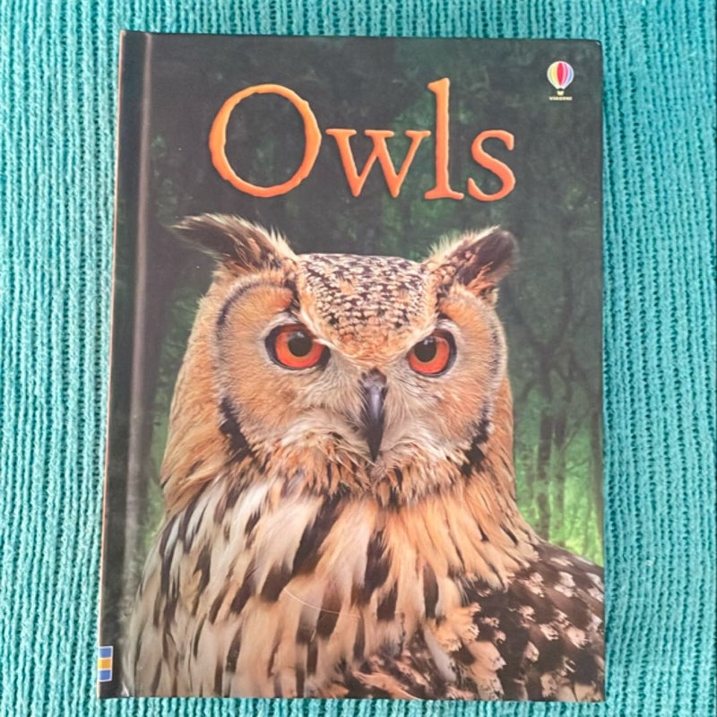 Owls