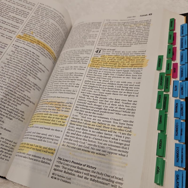 Holy Bible  People's Parallel Edition