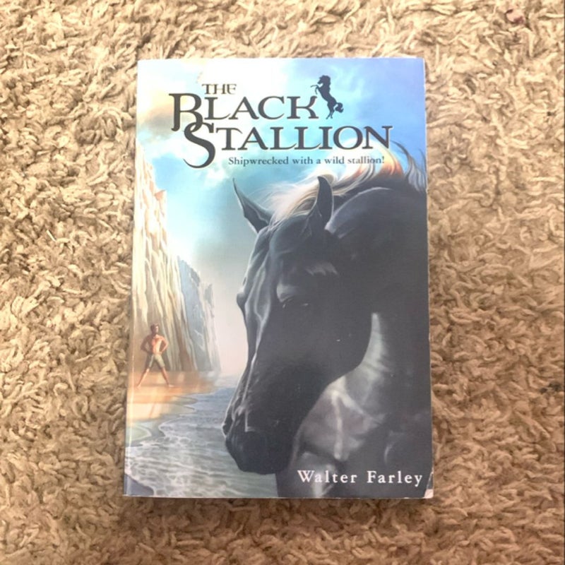 The Black Stallion