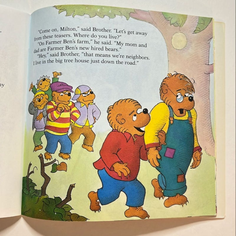 The Berenstain Bears and Too Much Teasing