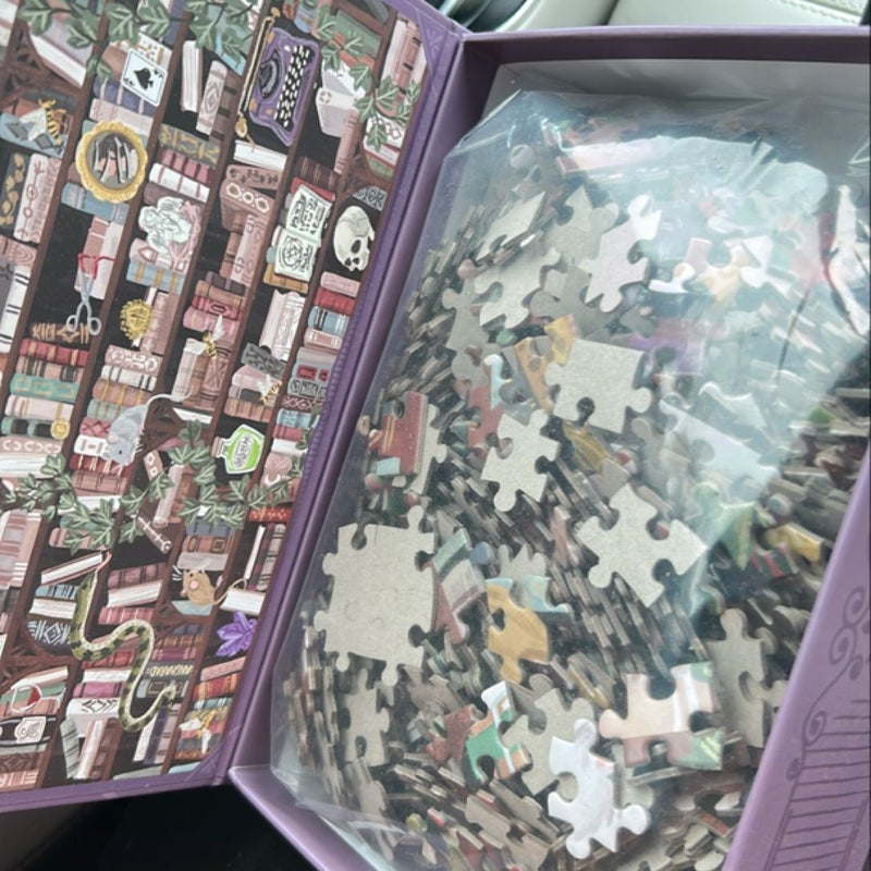 Illumicrate dark academia puzzle 