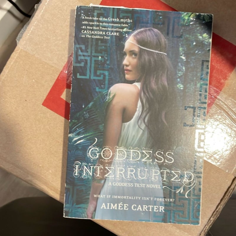 Goddess Interrupted