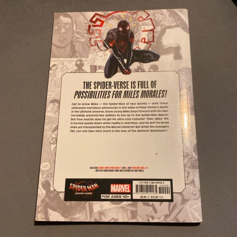 Spider-Man: Spider-Verse - Miles Morales