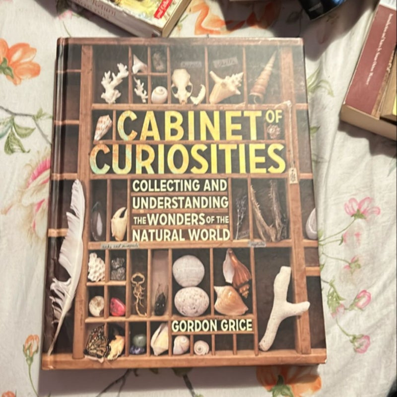 Cabinet of Curiosities