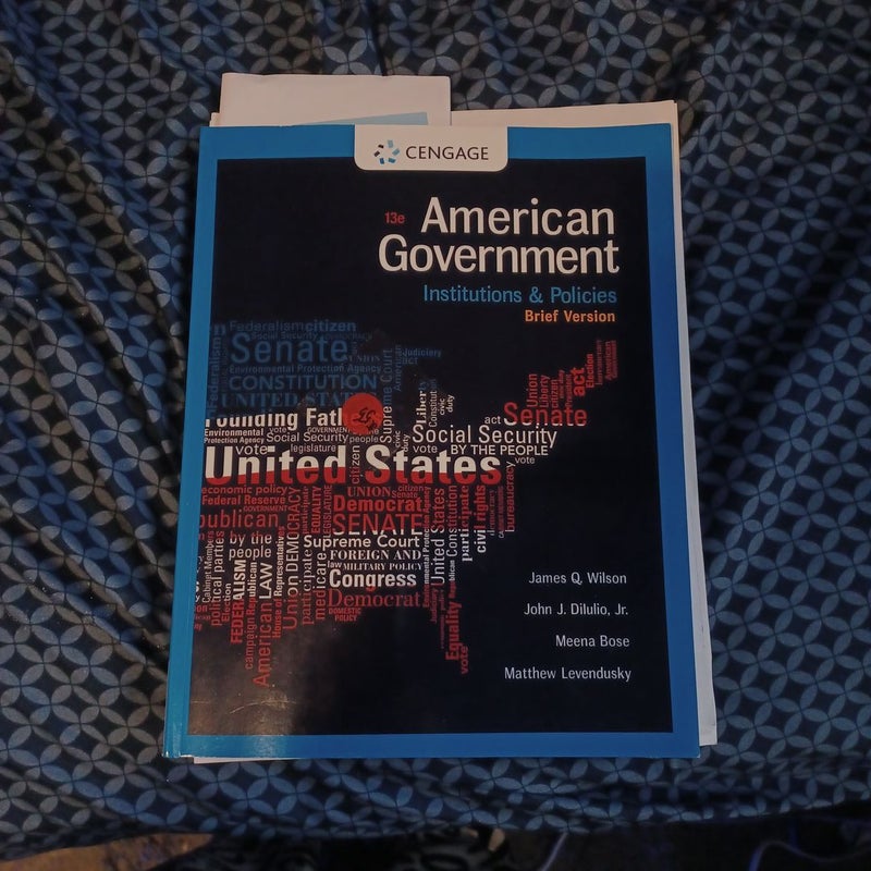 American Government