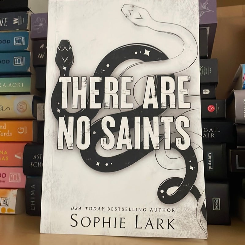 There Are No Saints Duology