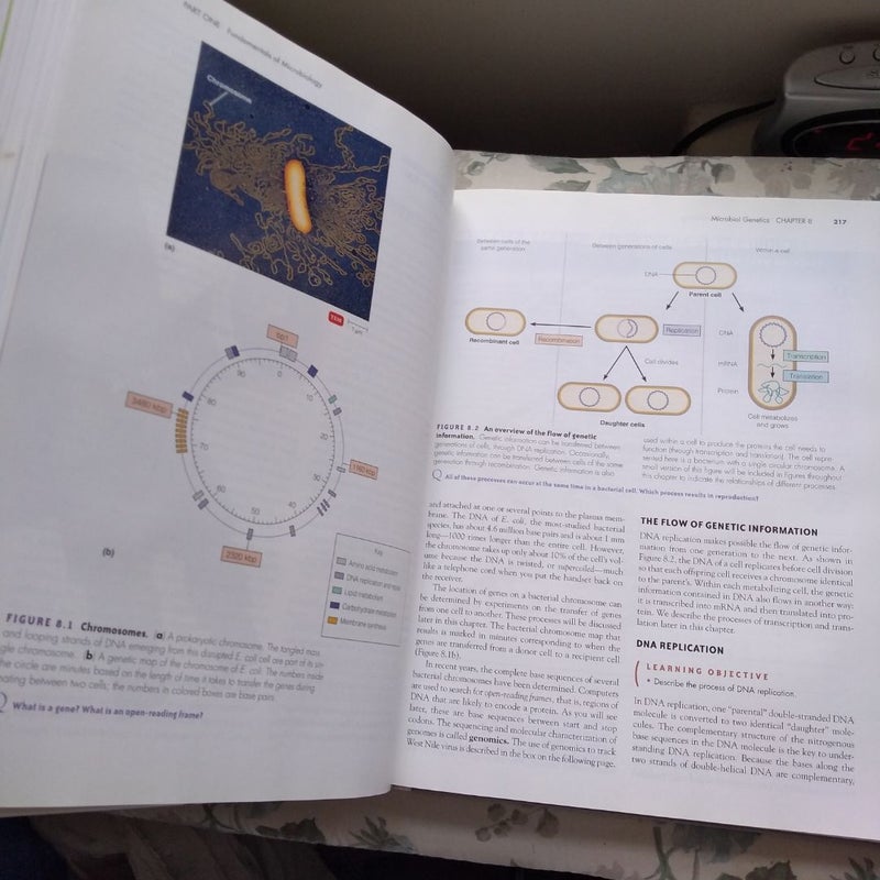 Microbiology