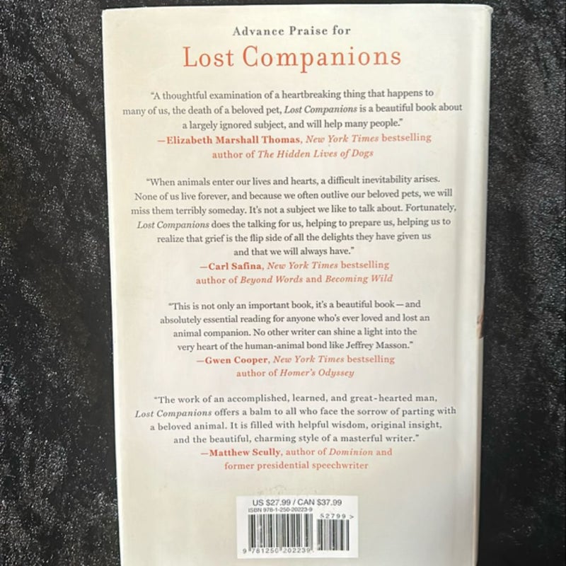 Lost Companions