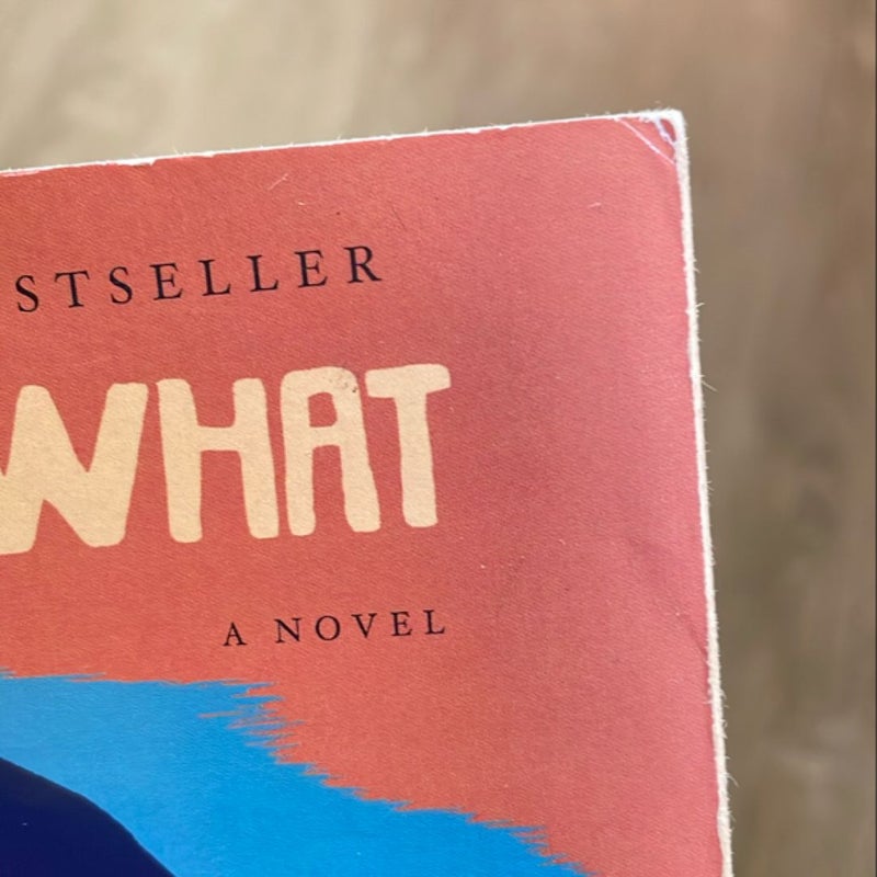 What Is the What