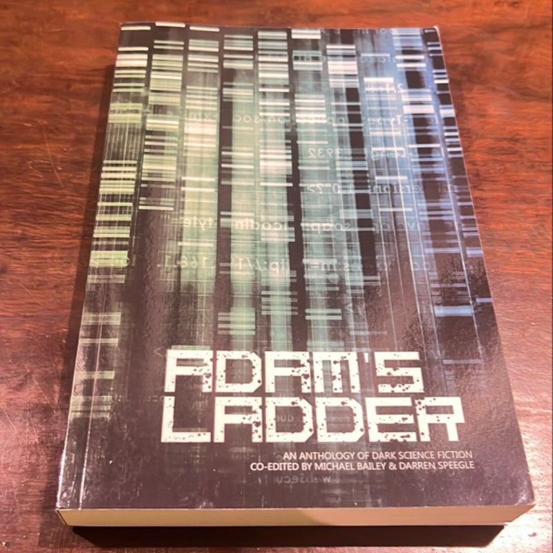 Adam's Ladder