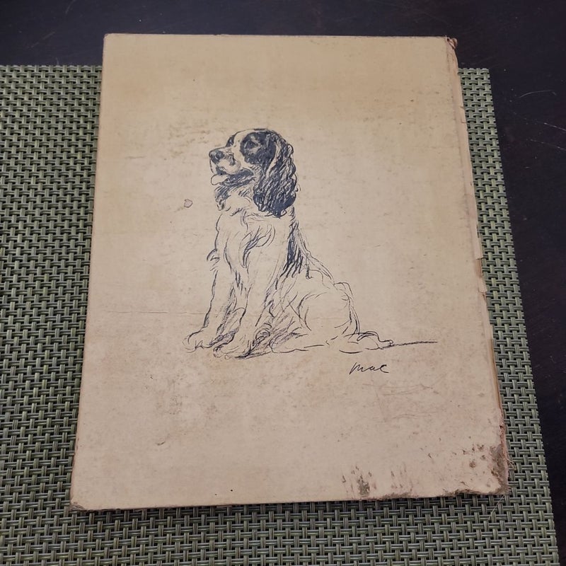Dogs as i see them