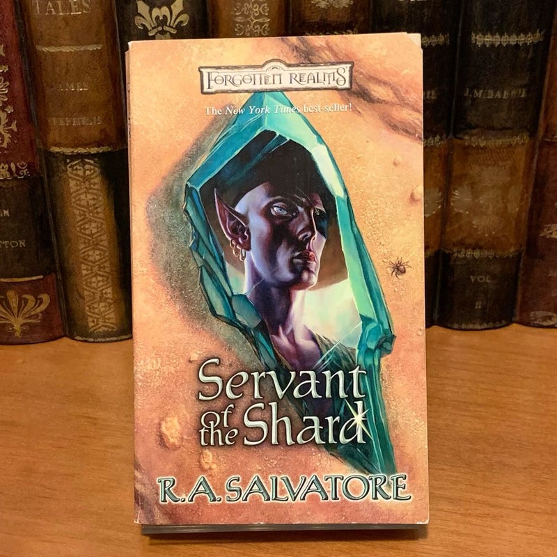 Forgotten Realms: Servant of the Shard, Legend of Drizzt, Sellswords 1 