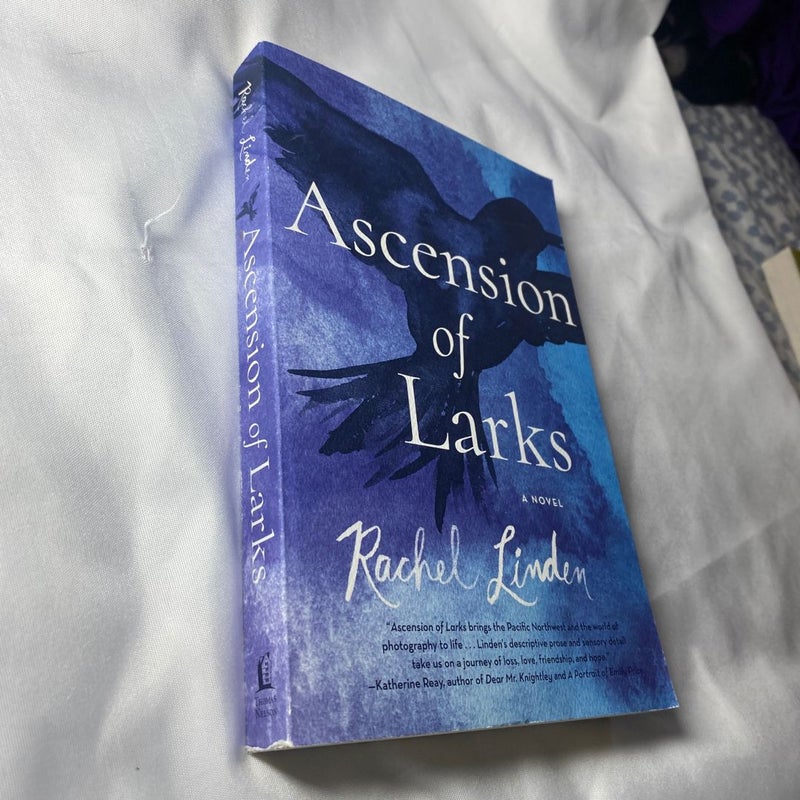 Ascension of Larks