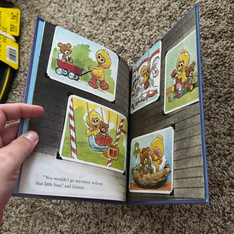 Big bird’s baby book
