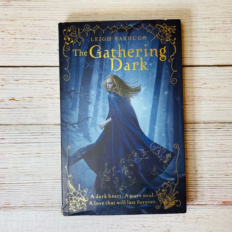 RARE Signed The Gathering Dark Leigh Bardugo Shadow and Bone 