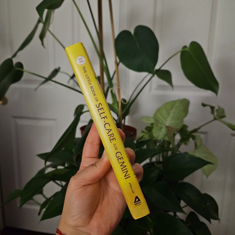 The Little Book of Self-Care for Gemini