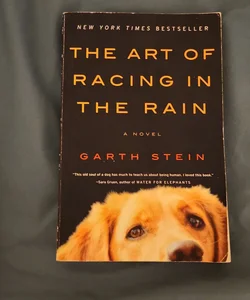 The Art of Racing in the Rain