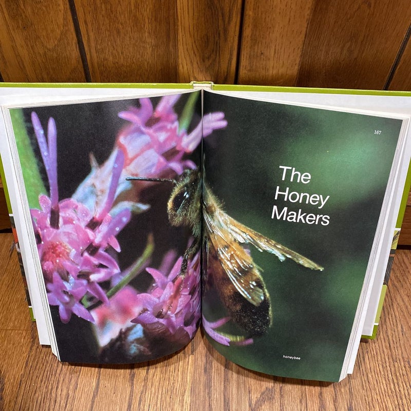 The Bug Book