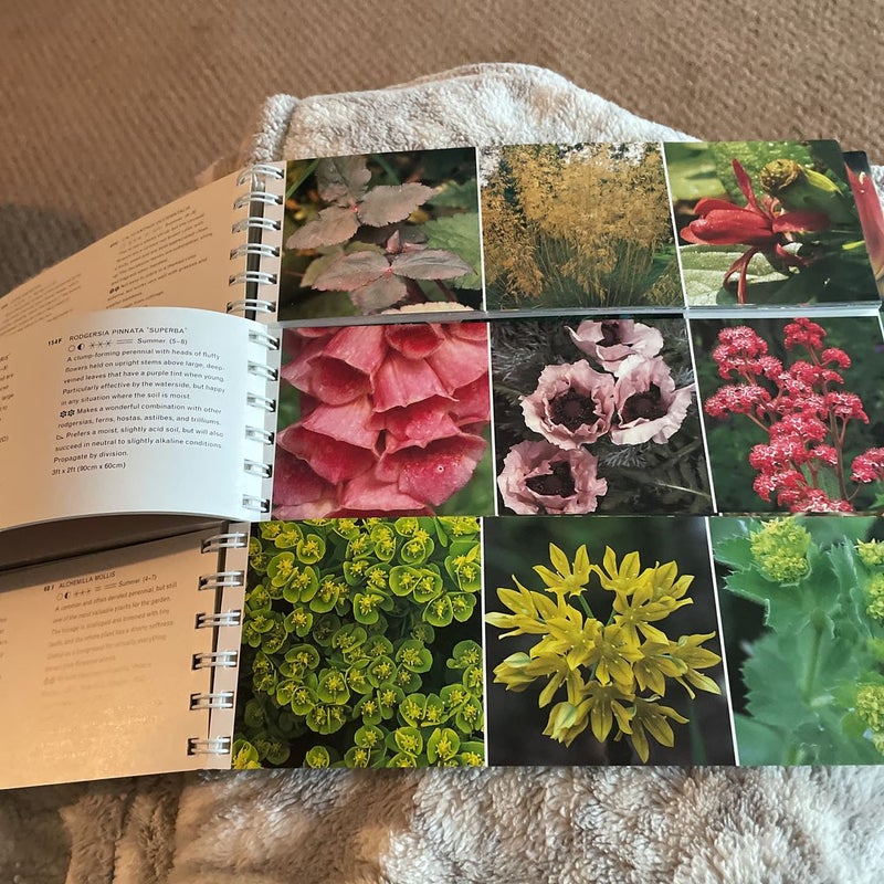 The Garden Color Book