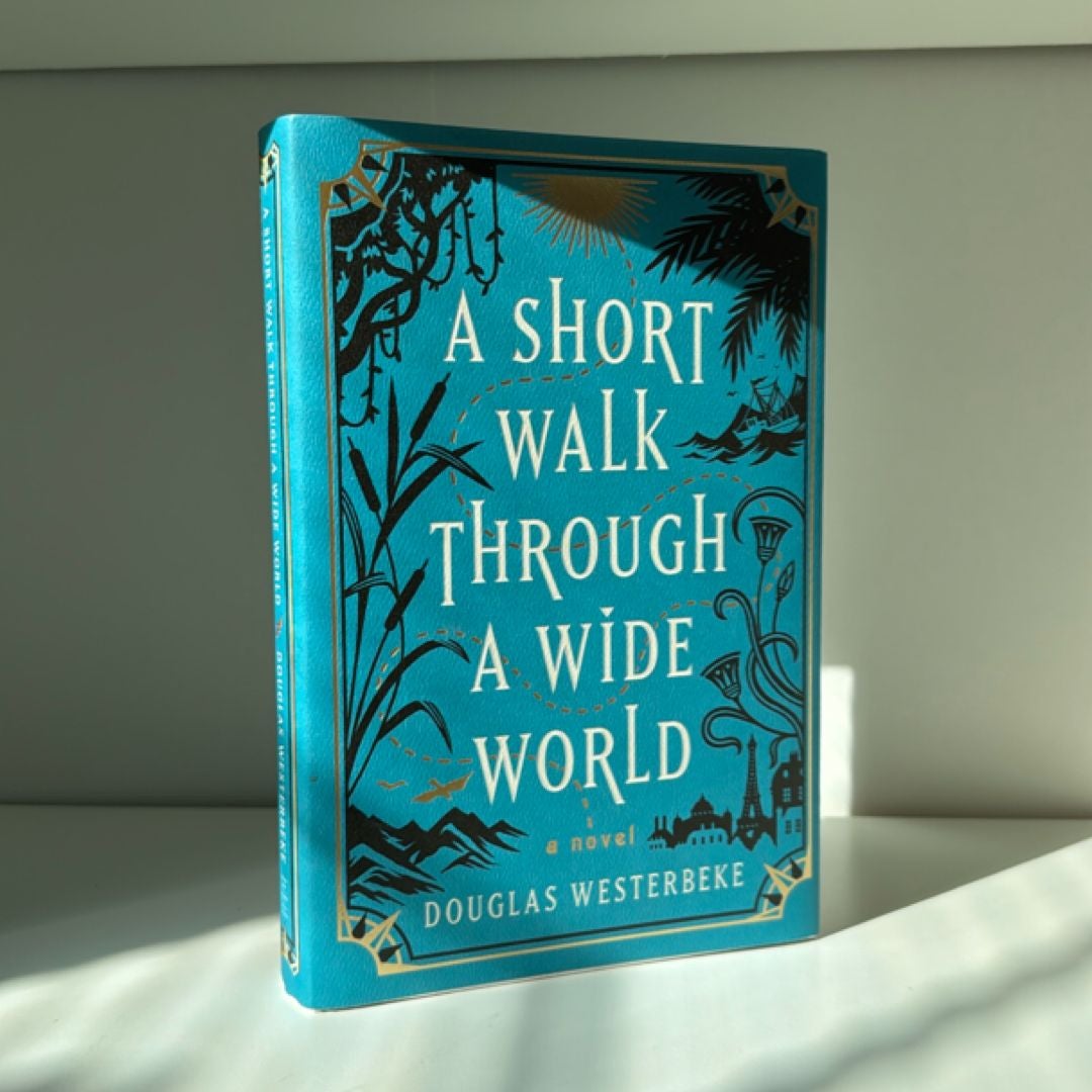 A Short Walk Through a Wide World