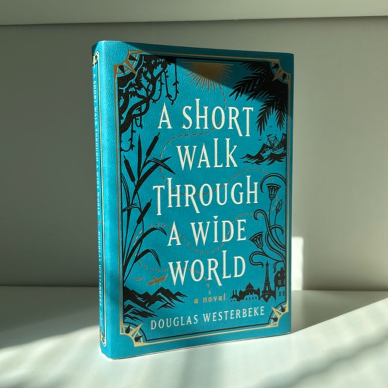 A Short Walk Through a Wide World