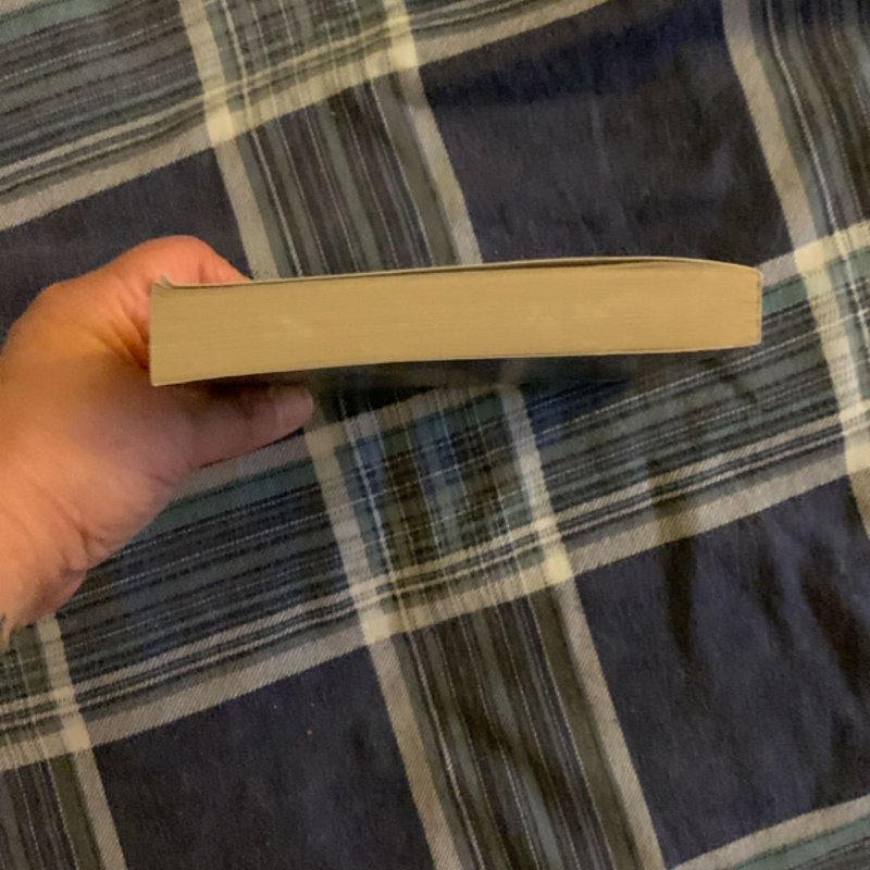 Aladdin Live Action Novelization