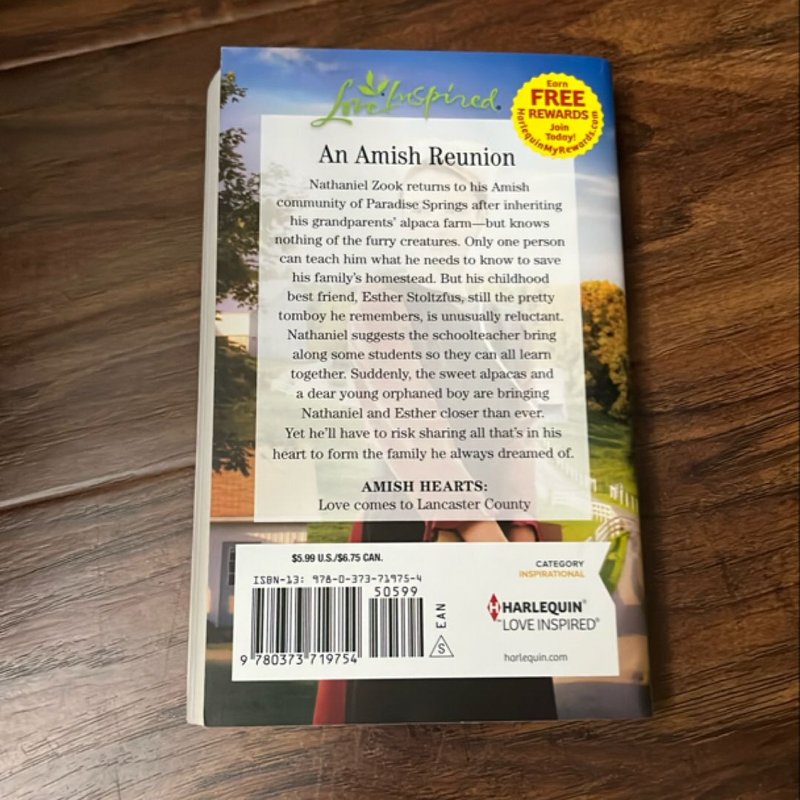 His Amish Sweetheart