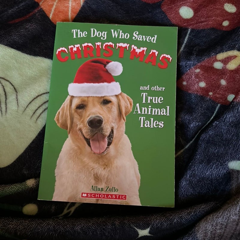 The Dog Who Saved CHRISTMAS and other True Animal Tales 