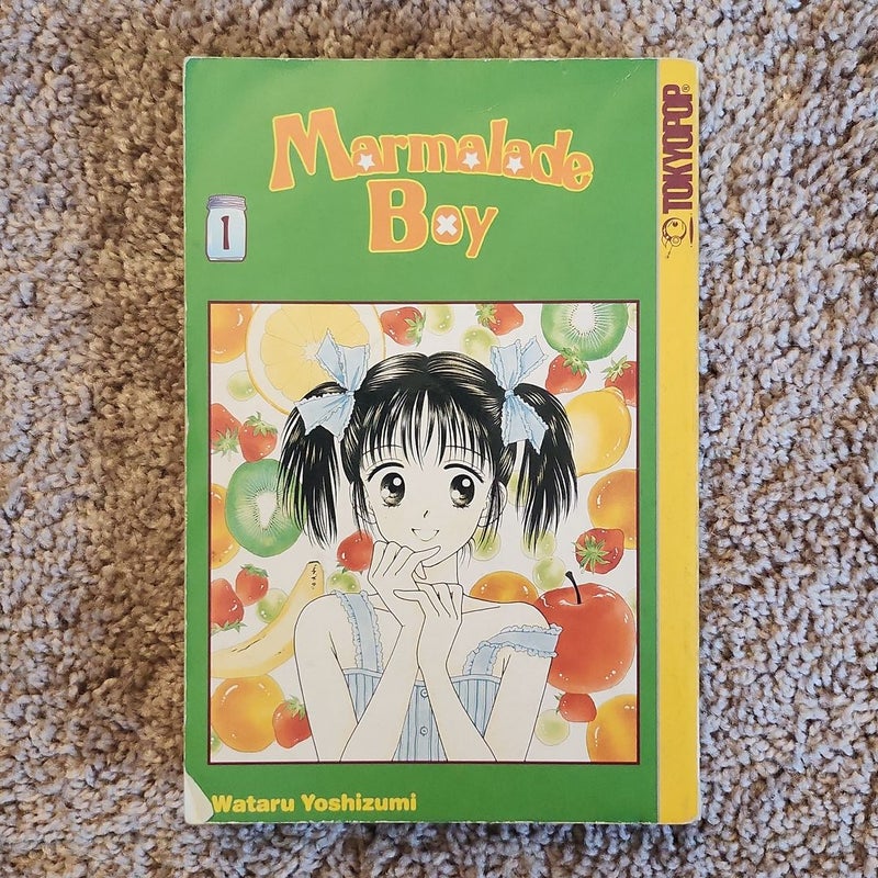 Marmalade Boy volume 1