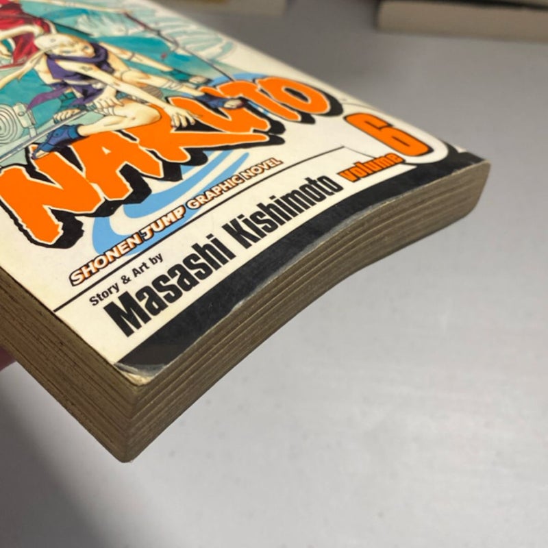 Naruto, Vol. 6