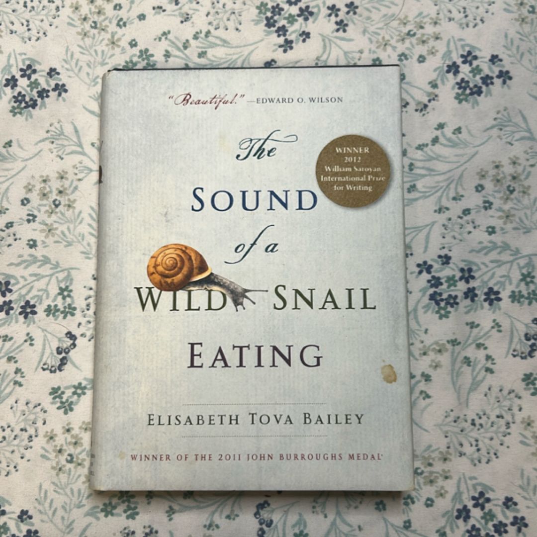 The Sound of a Wild Snail Eating