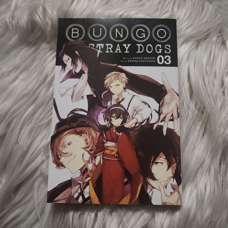 Bungo Stray Dogs, Vol. 3