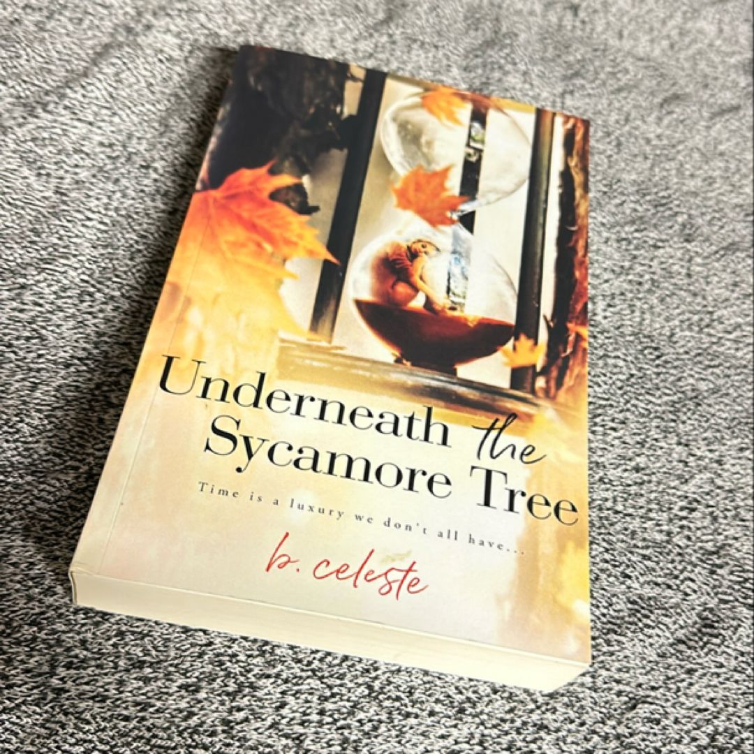 Underneath the Sycamore Tree Oop 