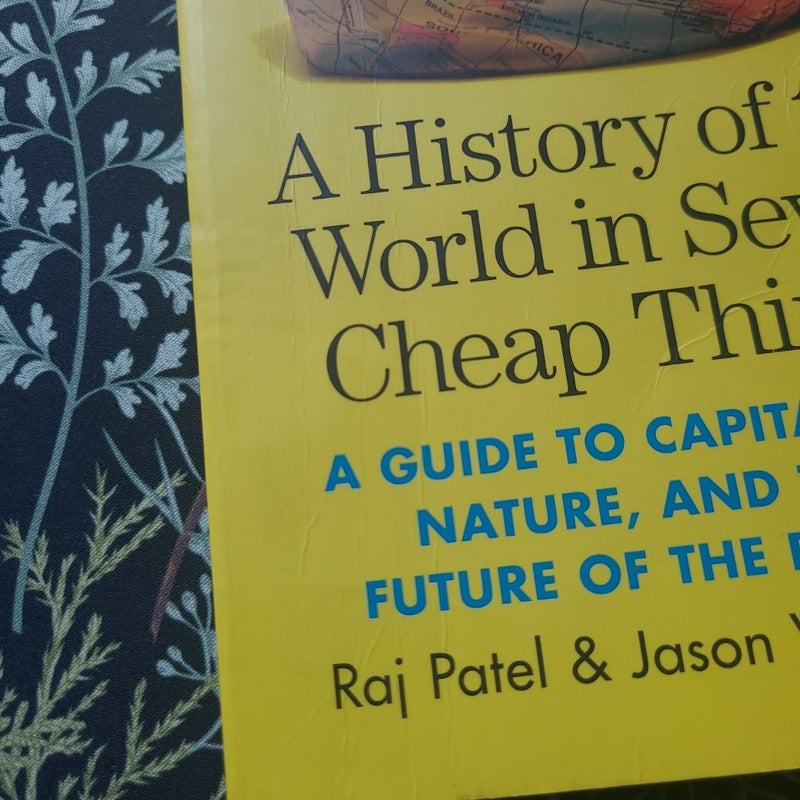 A History of the World in Seven Cheap Things