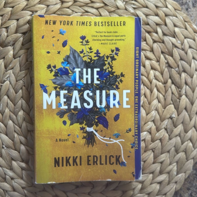 The Measure by Nikki Erlick, Paperback | Pangobooks