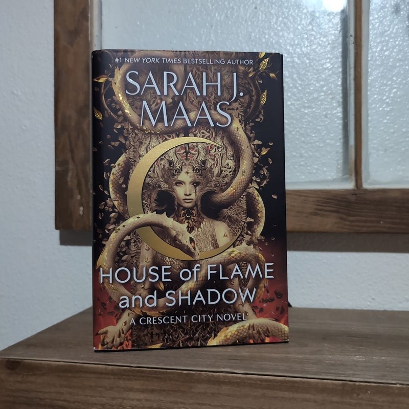 House of flame and shadow 