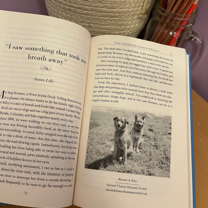 The Divinity of Dogs