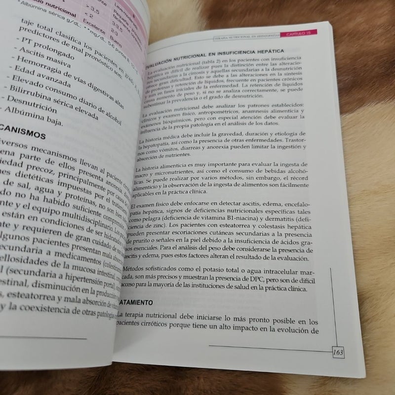 Terapia Intentinsiva Nutricion