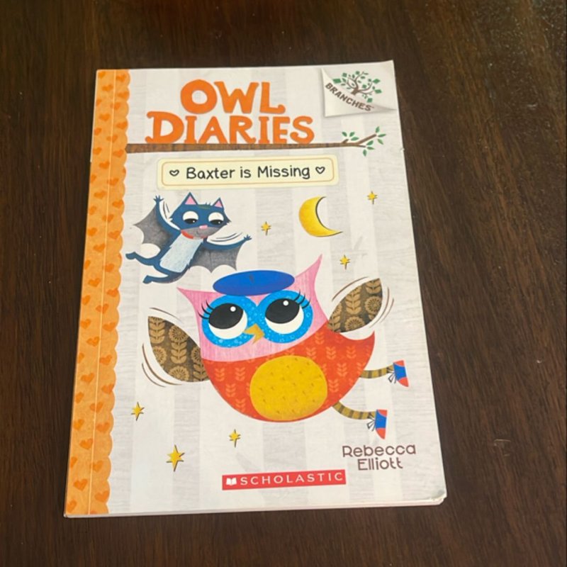 Baxter Is Missing - A Branches Book