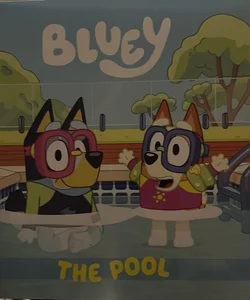 Bluey: the Pool