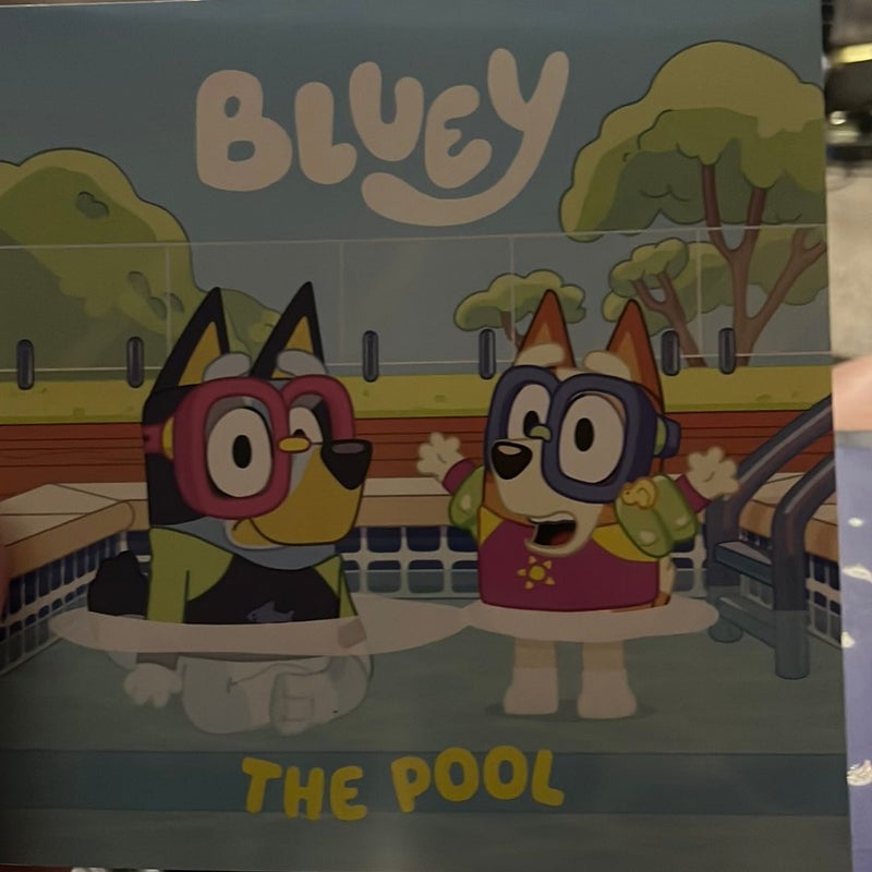 Bluey: the Pool