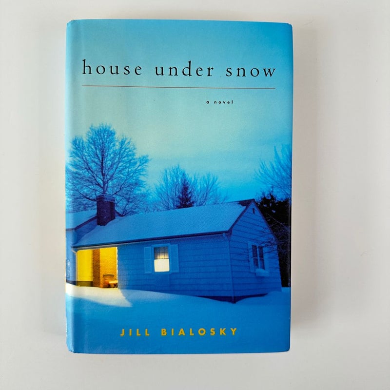 House Under Snow