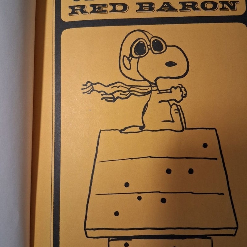 Snoopy and the Red Baron