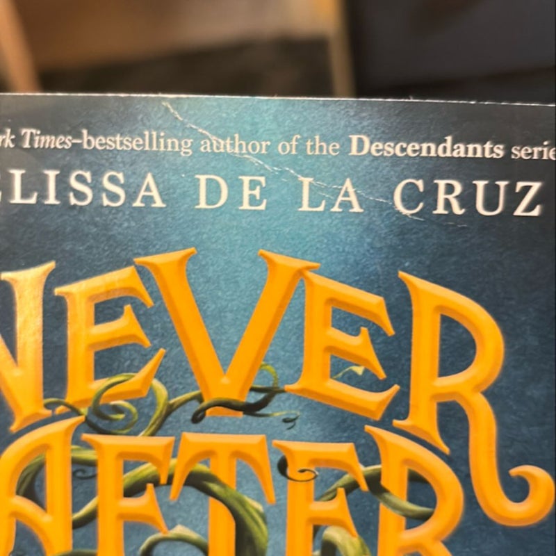 Never after: the Thirteenth Fairy