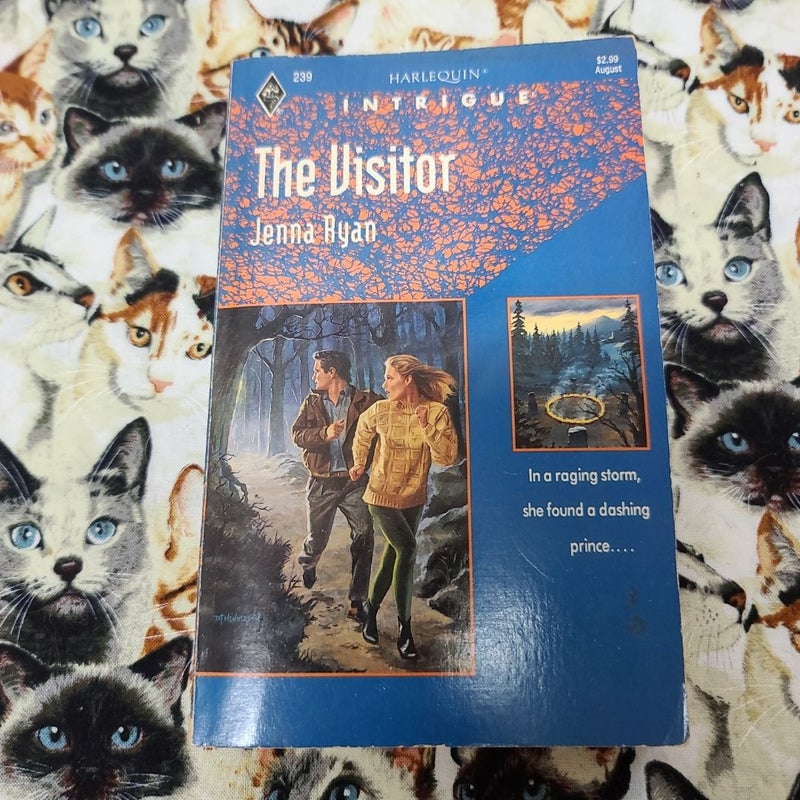 The Visitor