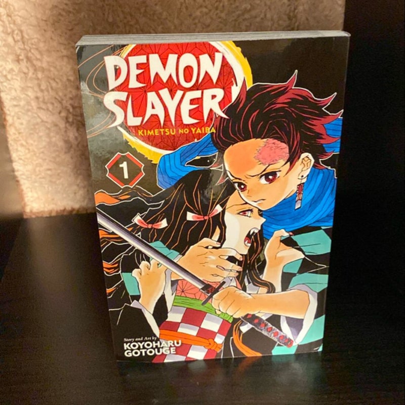 Demon Slayer: Kimetsu No Yaiba, Vol. 1