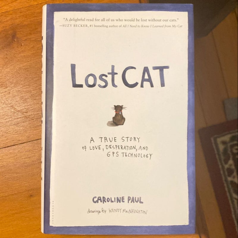 Lost Cat