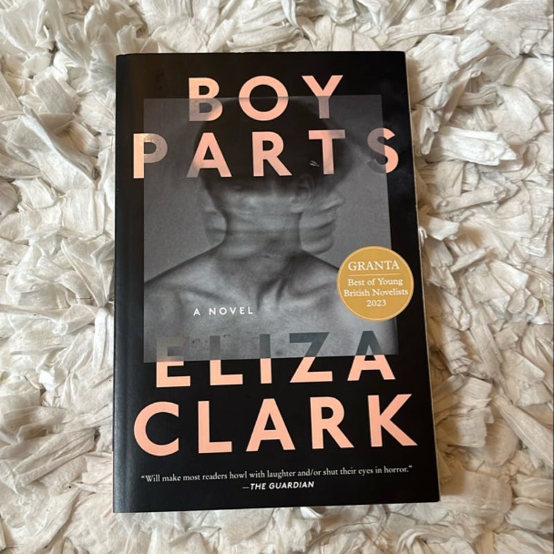 Boy Parts